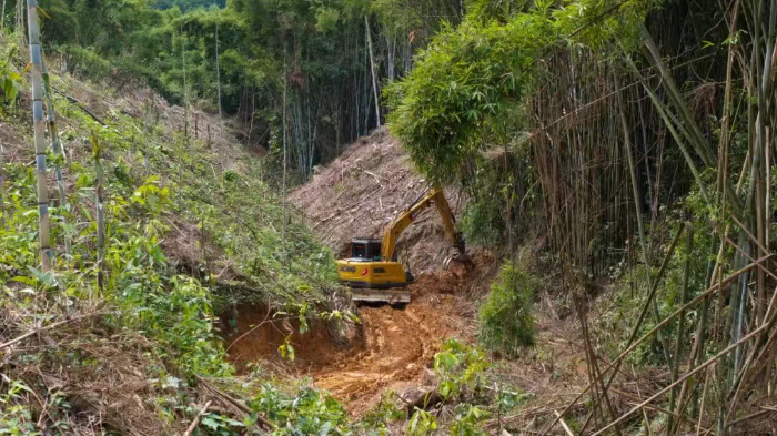 林间“藏龙”，竹海“卧虎”——开云电子·「中国」官方网站林业挖机广西侠客行
