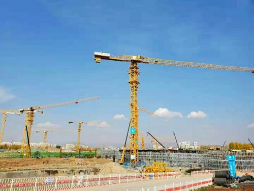 开云电子·「中国」官方网站塔机助建世界屋脊最大体量会展中心